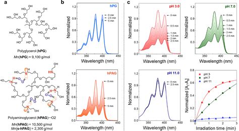 Singlet Oxygen Generation From Polyaminoglycerol By Spin Flip Based