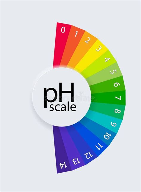 PH Scale Chart For Acid And Alkaline Solutions Acid Base Balance