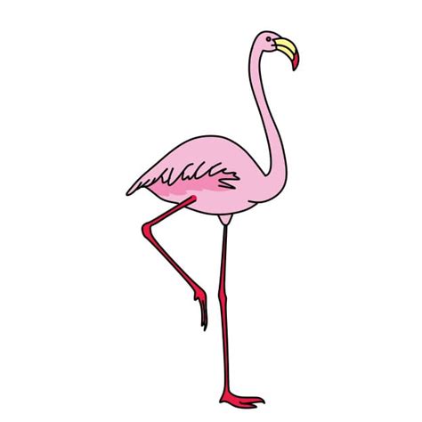 Jespère que ce tutoriel sur la façon de dessiner des flamants roses