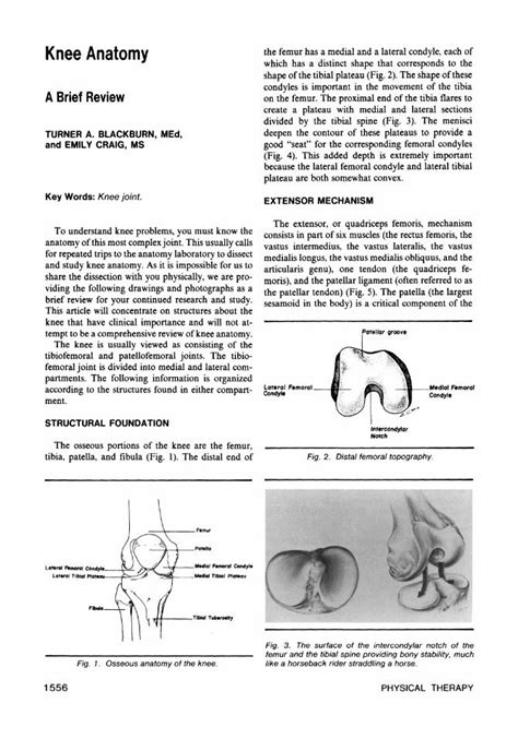 Pdf Knee Anatomy Semantic Scholar The Osseous Portions Of The