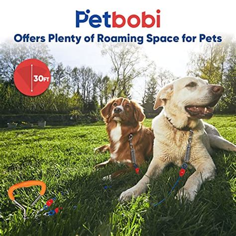 Petbobi C Ble D Attache Et Piquet Pour Chien Laisse D Ext Rieur De