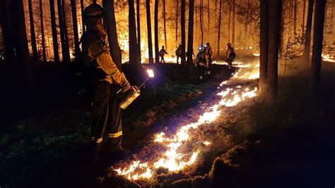 Waldbrände 2022 in Deutschland Bundesländer erreichen höchste