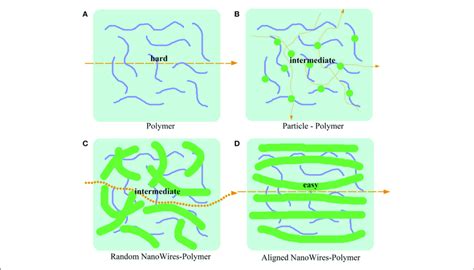 Schematic Of Conduction Mechanism In Three Kinds Of Morphologies