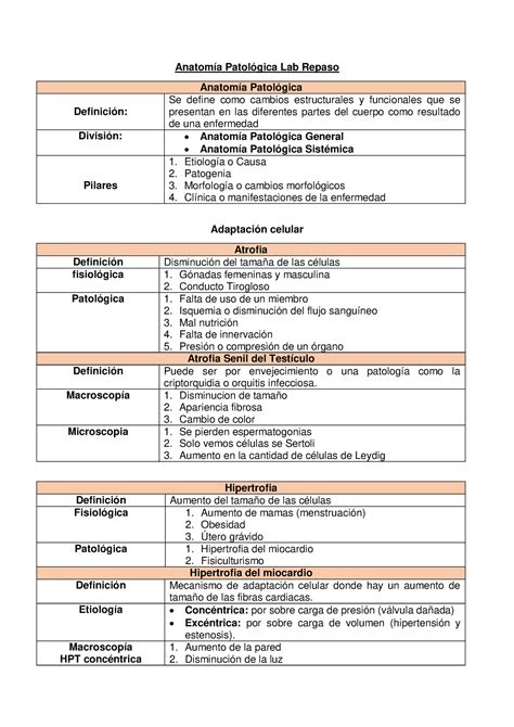 Pdf Anatom A Patol Gica Lab Repaso Anatom A Patol Gica Lab Repaso