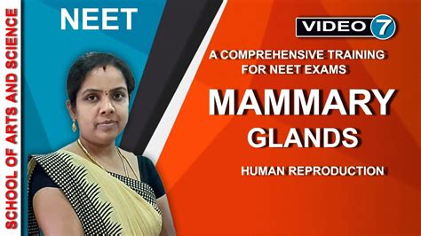 Mammary Glands Female Reproductive System Part 3 Neet Biology 12th