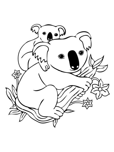 Hermano Koala con bebé Koala para colorear imprimir e dibujar