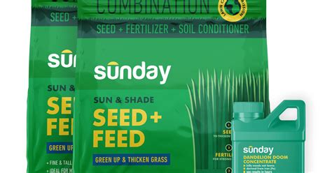 Weed Seed And Feed Your Lawn Kit Sunday Lawn Care