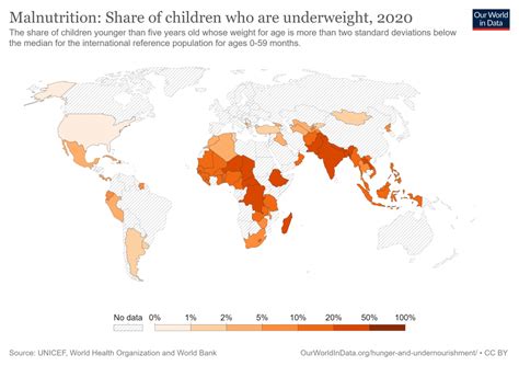 Global Malnutrition Everything You Need To Know Media Hashcash