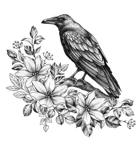 20 Crow And Raven Drawing Ideas Beautiful Dawn Designs Raven Tattoo