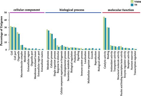 Gene Ontology Go Classification Of The Differentially Expressed Genes Download Scientific