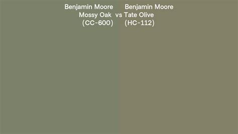 Benjamin Moore Mossy Oak Vs Tate Olive Side By Side Comparison