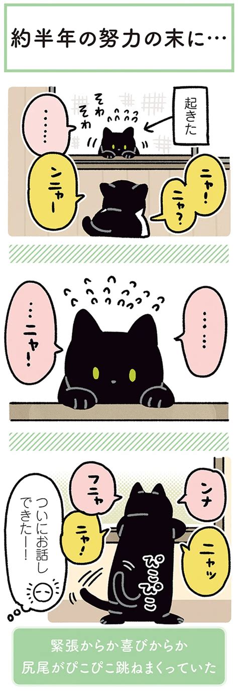 「ねえねえ」のジェスチャー、どこで覚えた？黒猫の気の引き方がかわいい！／黒猫ろんと暮らしたら4（1）（画像6566） レタスクラブ