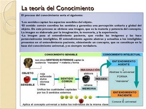 La Filosofía De Aristóteles