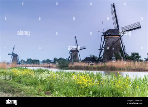 Traditional Dutch Windmills At The Unesco World Heritage Site In