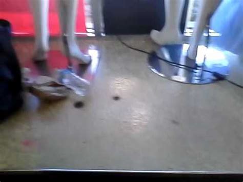 Gay Pokemon Pokemon Pokemon Pokemon YouTube