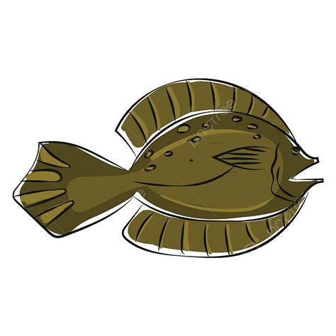 Clipart Of A Winter Flounder Fish Pseudopleuronectes Americanus