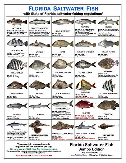 Saltwater Fish Species Identification Chart