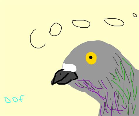 Pigeon Drawception