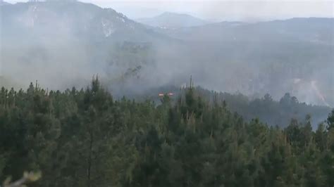 Expresso Este ano já houve mais de mil fogos origem em queimadas