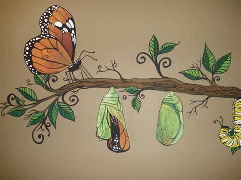 Butterfly Cocoon Drawing at GetDrawings | Free download