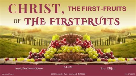 Christ The First Fruits Of The Firstfruits Youtube