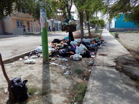 Multarán A Vecinos Que Arrojen Basura A Vía Pública Diario La Hora