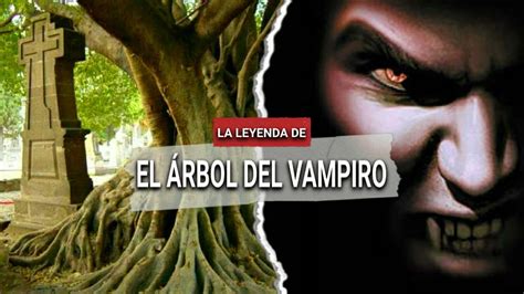 La leyenda del árbol del vampiro de Guadalajara YouTube