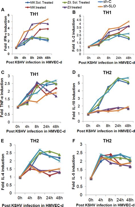 Effect Of 5lo Inhibition On Kshv Infection Induced Th1th2 Related