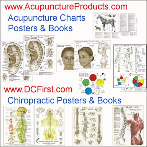 Kinesiology Reference Chart Printable Home