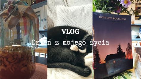 Dzie Z Mojego Ycia Dynia Pi Mowa Z Kasz Nalewka I Par S W O