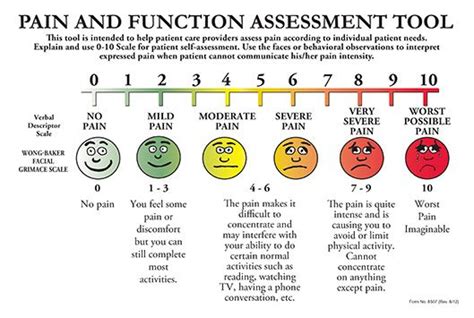 Behavioral Pain Scale - Dunia Belajar