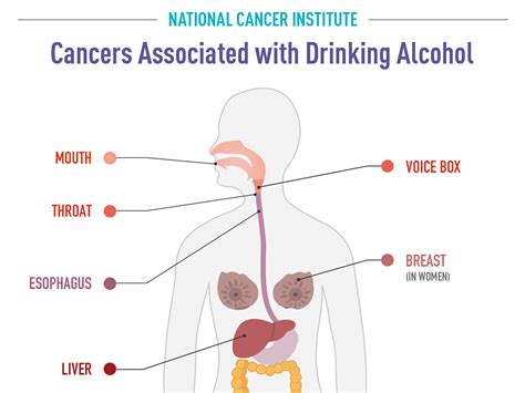 Alcohol And Cancer Risk Fact Sheet Nci