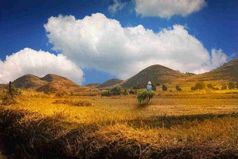 Madagascar Turismo De Aventura Al País De Los Lémures