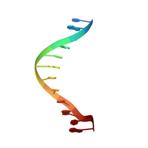 RCSB PDB 264D THREE DIMENSIONAL CRYSTAL STRUCTURE OF THE A TRACT DNA