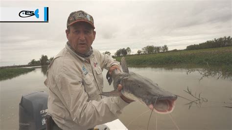 Pesca de Dorado y Surubí en Esquina Corrientes El Señuelo63 18 10 18