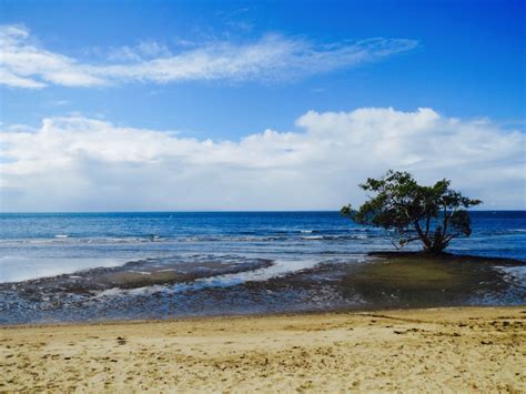 Nudgee Beach Is Brisbanes Only Suburb Named A Beach”