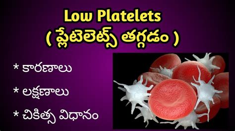 Low Platelets Thrombocytopenia Causes Symptoms And Treatment In Telugu Youtube