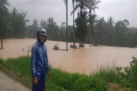 Hujan Deras Sebabkan Banjir Dan Longsor Di Sukabumi 19 Hektare Sawah