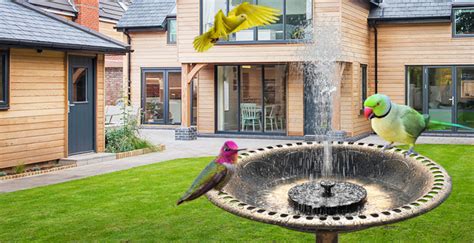 Bird Bath Fountains – What to consider for the Best of 2024