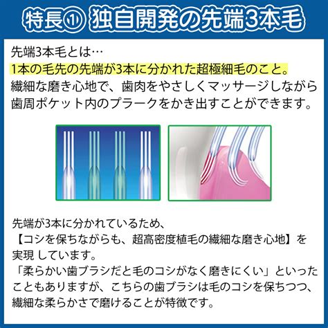 楽天市場16日1 59迄 最大P56 5倍要ｴﾝﾄﾘｰ 最大100円OFFクーポン有サンスター ガム 歯ブラシ 選べる 10本