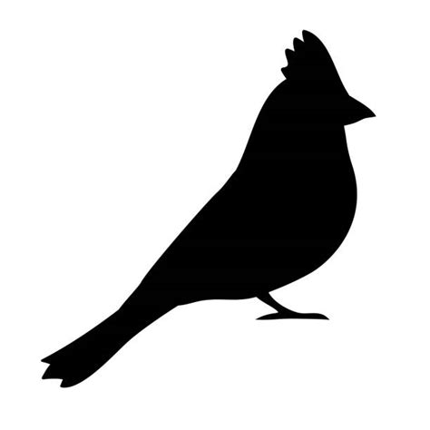 100+ Red Cardinal Bird Silhouette Stock Illustrations, Royalty-Free Vector Graphics & Clip Art ...