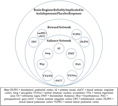 Neural Predictors Of The Antidepressant Placebo Response