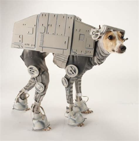 5 Awesome Star Wars Dog Costumes