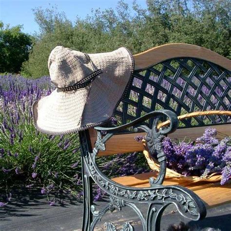 Sequim Lavender Festival - Visit Port Angeles Washington