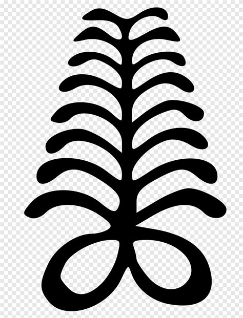 Adinkra Symbols Tattoo Fern Meaning Symbol Leaf Symmetry Png Pngegg