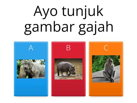 Mari Kita Mengenal Jenis Jenis Binatang Quiz