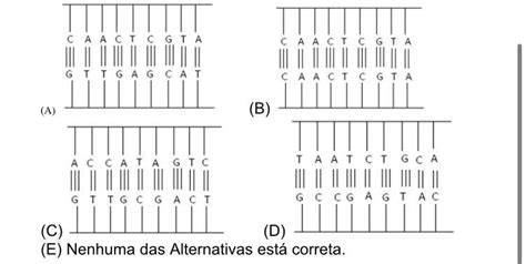 Testes genéticos a ciência se antecipa à doença o avanço no