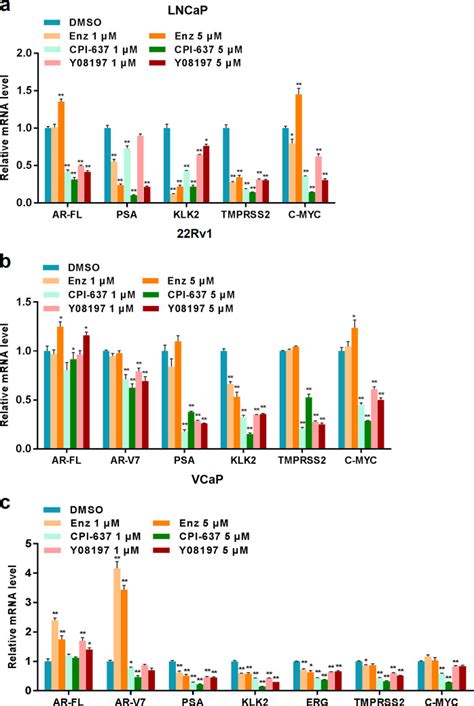 Y08197 Is A Novel And Selective CBP EP300 Bromodomain Inhibitor For The