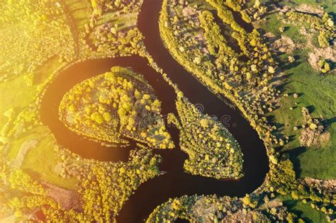 Aerial View Green Forest Woods And River Landscape In Sunny Spring