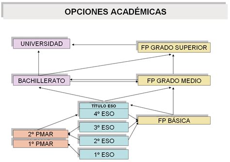 Espacio Profesores Qu Son Los Ciclos Formativos De Grado Medio